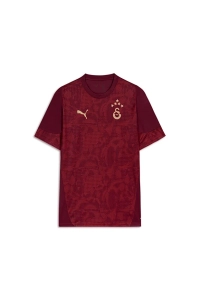 Galatasaray Puma A Takım Antrenman T-Shirt 
